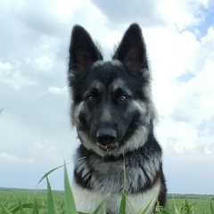 Иринка Козар, 09.08.1932, Санкт-Петербург