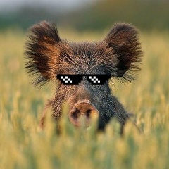 Семён Верстин, 22.10, Владимир