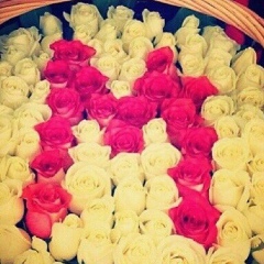 Макка Авхадова, 28.08.1999, Москва