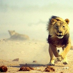 Хаким Нематов