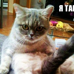 Жаксылык Карагулов, 26.05.1986, Актау