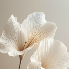 Юлия Ростовская, Сочи