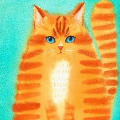 Евгения Ермоленкова, 04.12, Санкт-Петербург