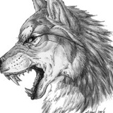 Айдемир Абдулкадыров, 07.12.1993, Москва