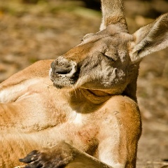 Игорь Гончаров, 08.01