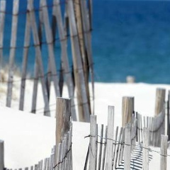 Дарья Чернышева, Санкт-Петербург