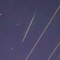 Максим Сырбу, 29.05.1988, Краснодар