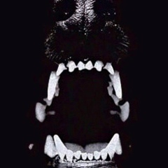 Анастасия , 29.09.1989, Самара