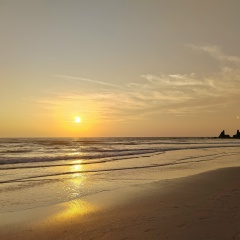 Женек Ланько, Липецк