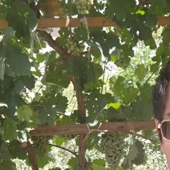 Рустам Бектурганов, 09.10.1989, Балашиха