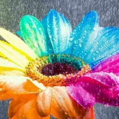 Наталья Бояр, 17.03, Усть-Каменогорск