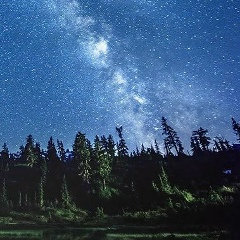 Мага Абакаров, 01.11, Москва