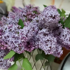 Мадина Толуспаева, 29.07.1993, Караганда