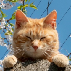 Наталья Маркова-Мышкина, 10.05, Киров