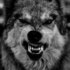 Александр Волынкин, 12.08, Москва