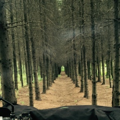 Глеб Тарев, 14.01.1986, Москва