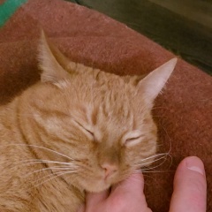 Владимир Тапорчиков, 23.05.1987, Могилёв