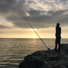 Shaxa Shaxlar, 24.08.1987, Баку