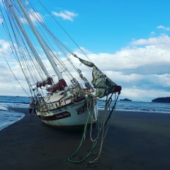 Антон Макарьевский, 11.12