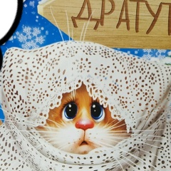 Александр Дратути, 10.07.1987, Донецк