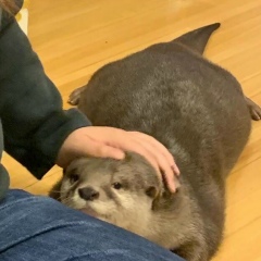 Илья Миронов, 03.04, Москва