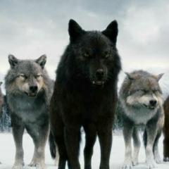 Александр Волков, 10.07.1989, Москва