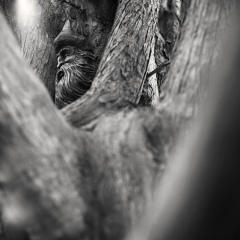 Алексей Федотов, 01.04.1986, Санкт-Петербург