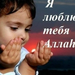 Марат Шамаров