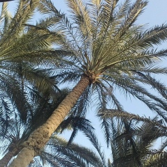 Гузалия Зиннатуллина, 08.08.1991, Казань