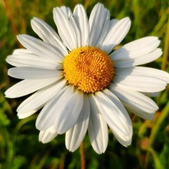 Кира Капустина, 22.09, Москва