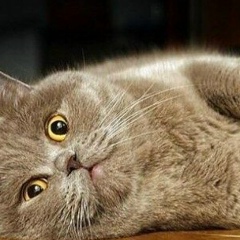 Патимат Матыкова, 02.10, Санкт-Петербург