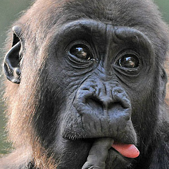 Пётр Игнатенко, 27.09, Омск