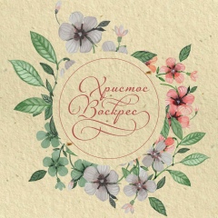 Света Жекина, 29.05, Киев