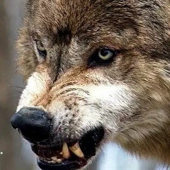 Андрей Клевцов, 31.12