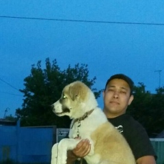 Kuat Shakirov, 11.01.1987, Павлодар