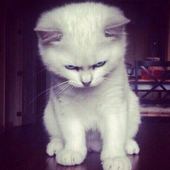 Regina Teryushova, 25.10, Москва