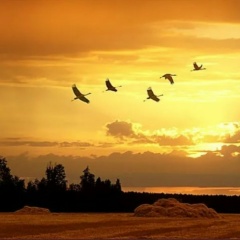 Марина Попова, 01.04, Новороссия