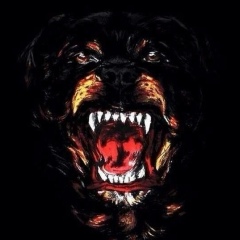 Мейржан Кайсекенов, 12.08