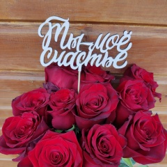 Юля Иванова, 05.04.1987, Великий Новгород