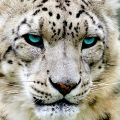 Алексей Зубков, 01.06, Санкт-Петербург