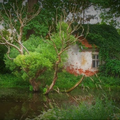 Григорий Дубровин, 06.05.1974, Санкт-Петербург