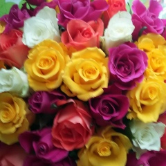 Елена Куприянова, 01.10.1968, Москва