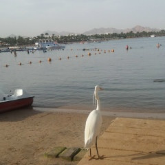 Алена Царькова, 25.03, Архангельск