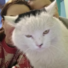 Максим Корецкий, 25.02.1991