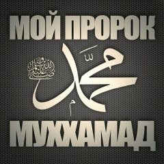 Бислан Гуциев, 23.02.1995, San Francisco