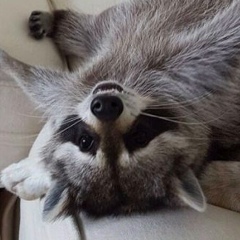 Мария Осипова, 30.03.2010