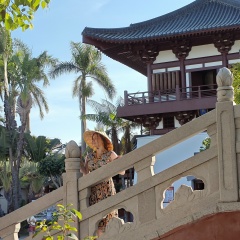 Мария Шуст, 01.11.1989