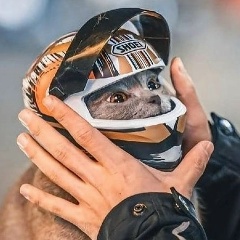 Scila Oo, Ростов-на-Дону