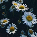 Яна Колчинская, Одесса