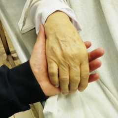 Эльдар Кадиев